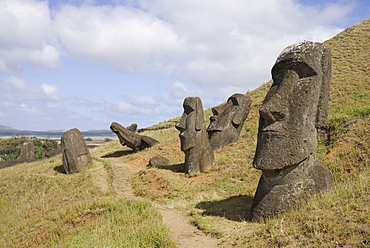 Moai quarry, Ranu Raraku Volcano, UNESCO World Heritage Site, Easter Island (Rapa Nui), Chile, South America