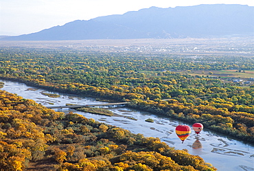 Hot air balloons, Albuquerque, New Mexico, United States of America, North America