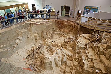 The Mammoth Site, Hot Springs, South Dakota, United States of America, North America