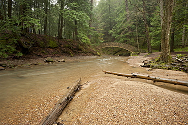 Hocking Hills State Park, Ohio, United States of America, North America