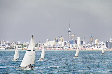 Auckland, North Island, New Zealand, Pacific