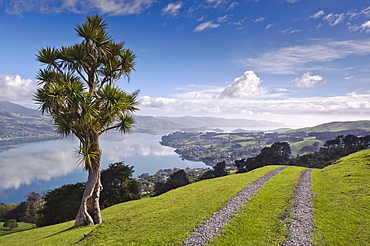 Otago Harbour, Otago Peninsula, Otago, South Island, New Zealand, Pacific