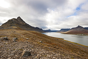 West Fjords, Iceland, Polar Regions 