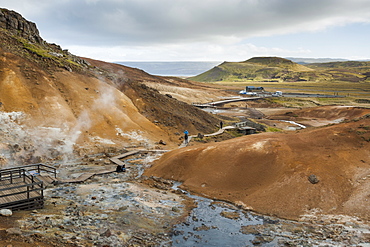 Seltun, Krysuvik geothermal area, Reykjanes Peninsula, Iceland, Polar Regions 