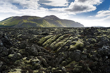 Reykjanes Peninsula, Iceland, Polar Regions 