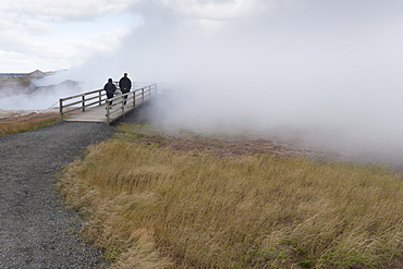 Gunnuhver Hot Spring, Reykjanes Peninsula, Iceland, Polar Regions 