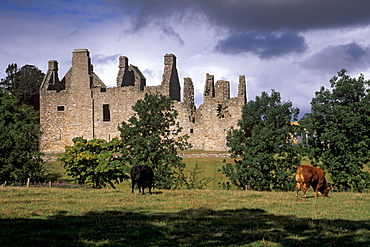 Castle, Aberdeenshire, Scotland, United Kingdom, Europe