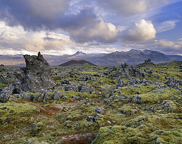 Lava fields, Snaefellsnes Peninsula, Iceland, Polar Regions