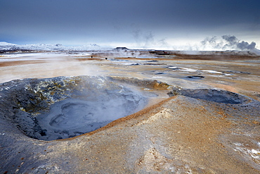 Mudpots at Namaskard geothermal area (Namafjall-Hverarond), near Lake Myvatn and Reykjahlid, North Iceland, Iceland, Polar Regions