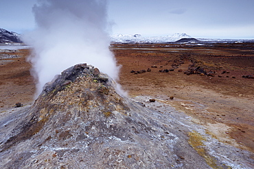 Steam vent at Namaskard geothermal area (Namafjall-Hverarond), Mount Burfell, 935m, behind, near Lake Myvatn and Reykjahlid, North Iceland, Iceland, Polar Regions