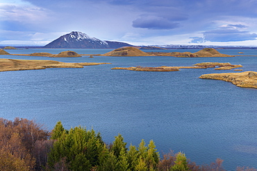 View of Lake Myvatn, from Hofdi on the east shore of the lake, with pseudo-craters and Mount Vindbelgjarfjall (Vindbelgur), 529m, in the distance, Myvatn area, Iceland, Polar Regions