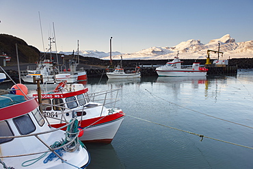 Fishing harbour at Hofn, near Bakkagerdi in Borgarfjordur Eystri fjord, Mount Dyrfjoll (Door mountain), 1136m, in background, East Fjords, Iceland, Polar Regions