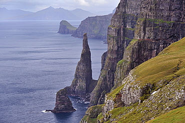 Spectacular 300-400m high cliffs on west coast of Sandoy, Oknadalsdrangur sea stack in foreground, Sandoy, Faroe Islands (Faroes), Denmark, Europe