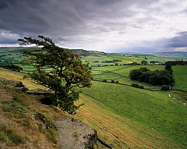 Landscape near Austwick, Yorkshire Dales National Park, Yorkshire, England, United Kingdom, Europe