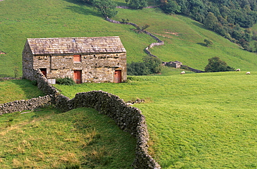 Traditional barn in upper Swaledale, Yorkshire Dales National Park, Yorkshire, England, United Kingdom, Europe