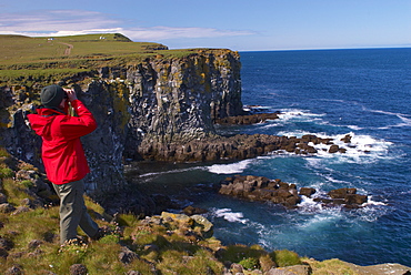 Birdwatching at Langanes peninsula, bird cliffs and gannetry, North Iceland (Nordurland), Iceland, Polar Regions