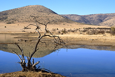 Mankwe Dam, central lake in the Pilanesberg National Park, North West Province, South Africa, Africa