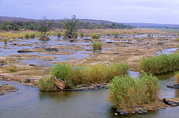 Olifants river, Kruger National Park, South Africa, Africa