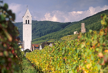 Katzenthal white church from the vineyards, Wineck castle in background, Katzenthal, village of the Alsatian Wine Road, Haut Rhin, Alsace, France, Europe