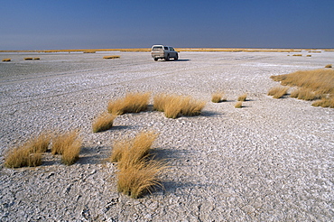 A 4x4 in the salt pans of Makgadikgadi Pan National Park, Makgadikgadi Pan, the largest salt flat complex in the world covering 16000 square kilometers, central Botswana, Africa