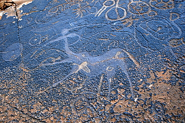 Twyfelfontein rock engravings (petroglyphs) dating from the late Stone Age, between 6000 and 2000 years, UNESCO World Heritage Site, Kunene region, Namibia, Africa