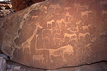 Twyfelfontein rock engravings (petroglyphs) dating from the late Stone Age, between 6000 and 2000 years, UNESCO World Heritage Site, Kunene region, Namibia, Africa