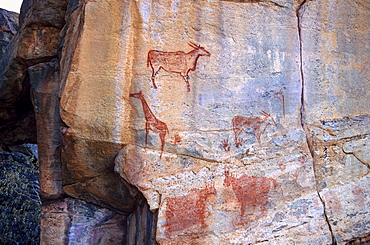 Rock art, Tsodilo Hills, UNESCO World Heritage Site, Ngamiland, Botswana, Africa