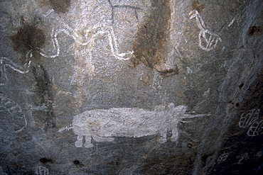 Rock art, white paintings, elephant and rain snake, Tsodilo Hills, UNESCO World Heritage Site, Ngamiland, Botswana, Africa