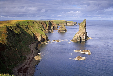 Sea stacks, Duncansby Head, Caithness, Highlands, Scotland, United Kingdom, Europe