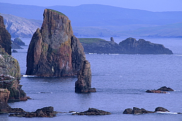 Stoura Pund cliffs and stacks of red sandstone, Eshaness, Northmavine, Shetland Islands, Scotland, United Kingdom, Europe