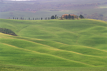 Landscape of the Crete area, near Siena, Tuscany, Italy, Europe