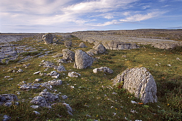 Limestone plateau, karstic landscape, Burren region, County Clare, Munster, Republic of Ireland, Europe