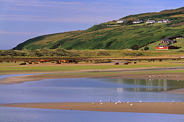 Barley Cove, near Dough, Mizen peninsula, County Cork, Munster, Republic of Ireland, Europe