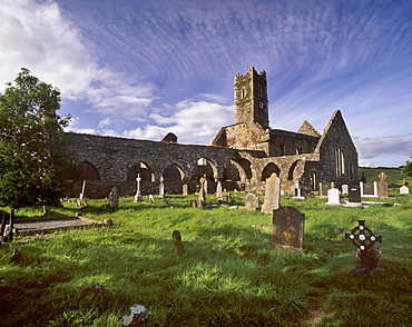 Timoleague Abbey, Franciscan abbey dating from the 13th century with 16th century tower, Timoleague, County Cork, Munster, Republic of Ireland, Europe