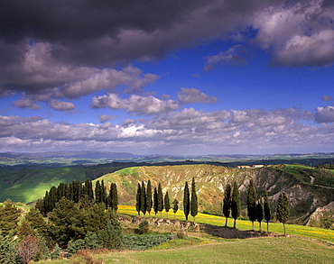 Landscape typical of the region, with cypress trees and spectacular landslides called locally balze, Volterra, Tuscany, Italy, Europe 