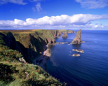 Duncansby Head sea stacks, north-east tip of Scotland, Caithness, Highland region, Scotland, United Kingdom, Europe