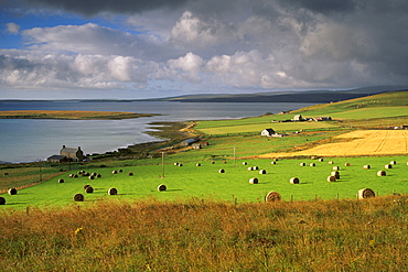 Farmland at Houton, Mainland, Orkney Islands, Scotland, United Kingdom, Europe