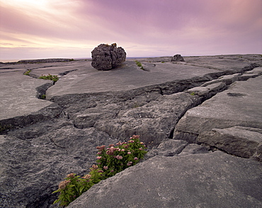 Limestone rocks near the sea, at sunset, The Burren, County Clare, Munster, Republic of Ireland (Eire), Europe