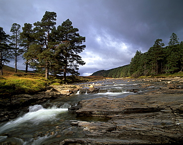 Scots pines and Upper Dee valley near Inverey, Aberdeenshire, Highland region, Scotland, United Kingdom, Europe