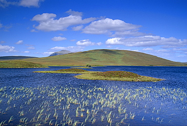 Loch Meadie, Sutherland, Highland region, Scotland, United Kingdom, Europe