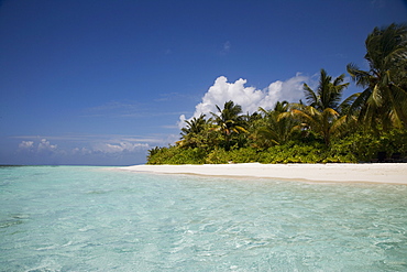 Vilamendhoo Island, Ari Atoll, Maldives, Indian Ocean, Asia