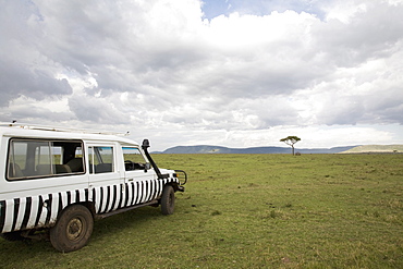 Masai Mara National Park, Kenya, East Africa, Africa