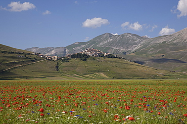 Castelluccio di Norcia, Norcia, Umbria, Italy, Europe