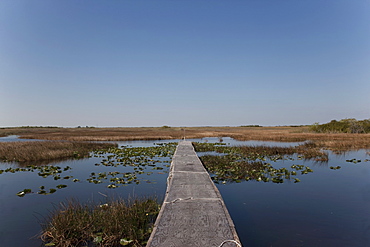 Everglades National Park, UNESCO World Heritage Site, Florida, United States of America, North America