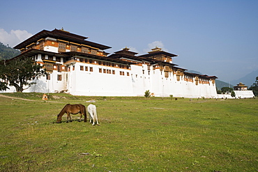 Punakha Dzong, Punakha, Bhutan, Asia