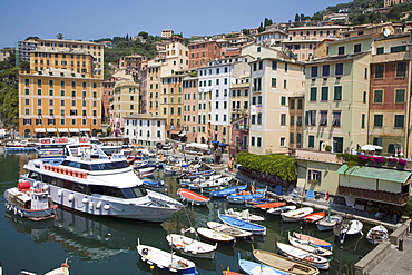 Camogli, Liguria, Italy, Europe