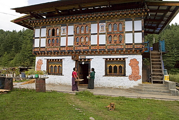 Phallus symbols on house to ward off evil spirits, Bumthang Valley, Bhutan, Asia