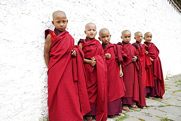 Young Buddhist monks, Karchu Dratsang Monastery, Bumthang, Bhutan, Asia