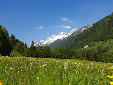 Canton Uri, Swiss Alps, Switzerland, Europe