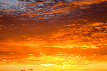 Red sky at sunrise over Atlantic Ocean, view from Miami Beach, Florida, United States of America, North America